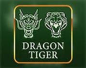 Dragon Tiger HB